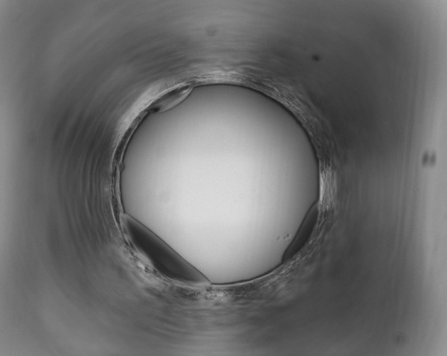 X0000111220195200907021008