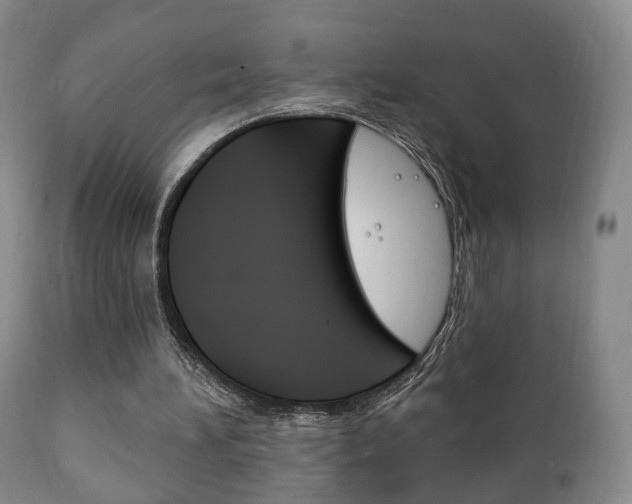 X0000111220196200907021008