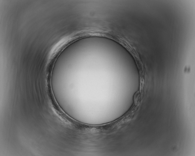 X0000111220197200907021008