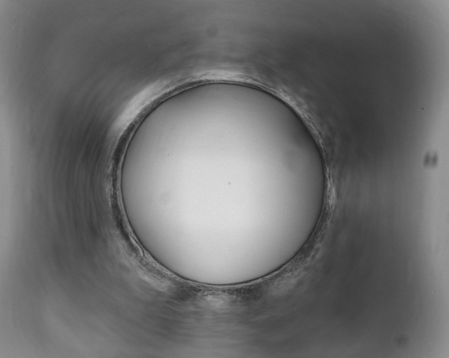 X0000111220199200907021008