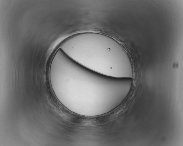 X0000111220200200907021008