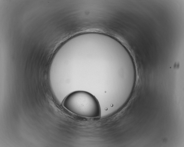 X0000111220201200907021008