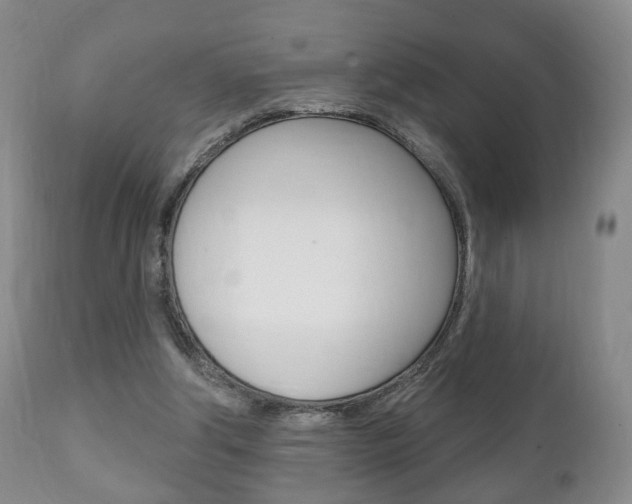 X0000111220202200907021008