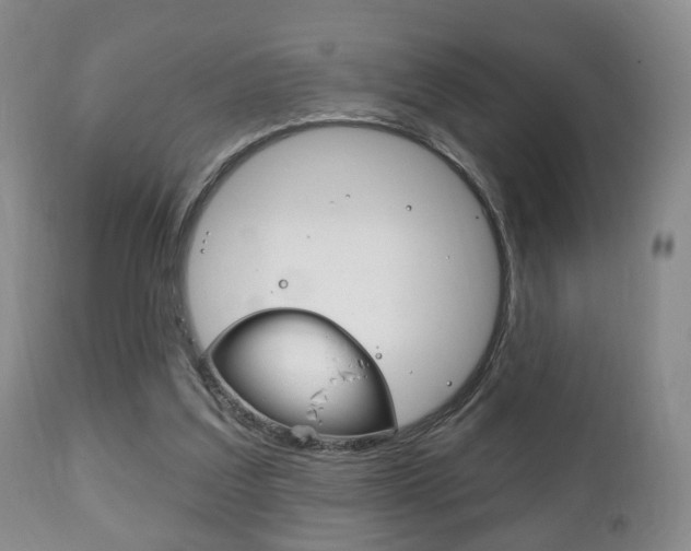 X0000111220203200907021008