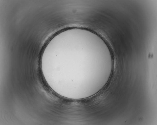 X0000111220204200907021008