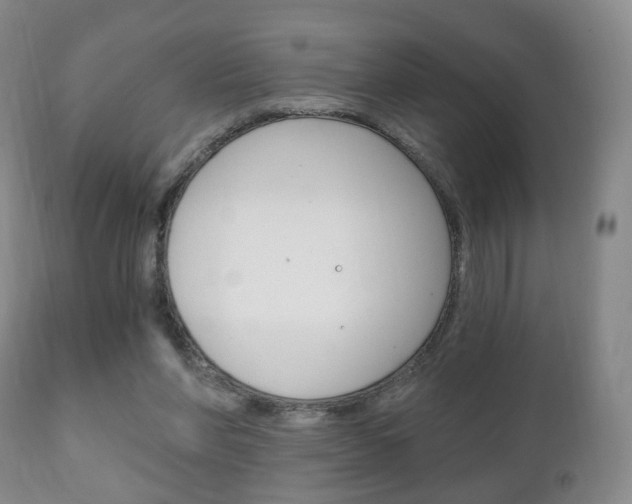 X0000111220206200907021008