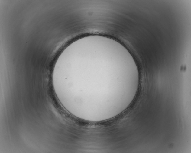 X0000111220208200907021008