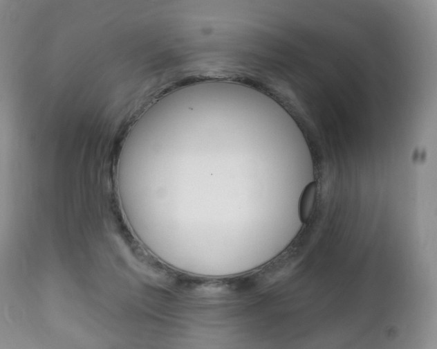 X0000111220213200907021008