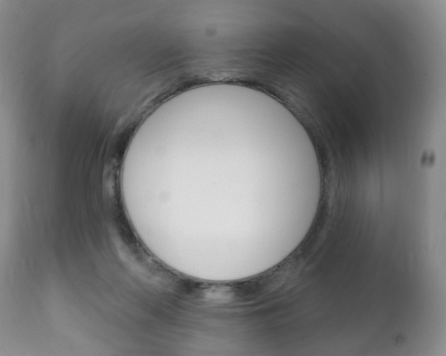 X0000111220214200907021008