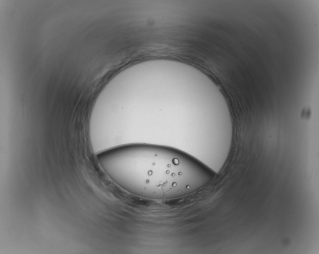 X0000111220215200907021008