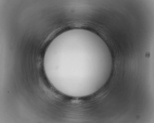 X0000111220216200907021008