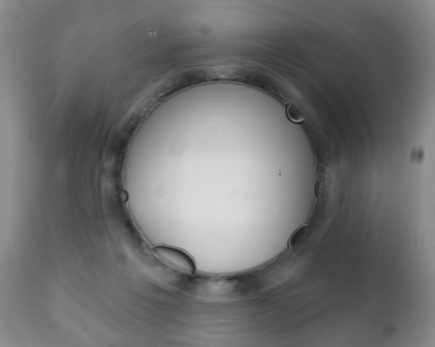 X0000111220217200907021008