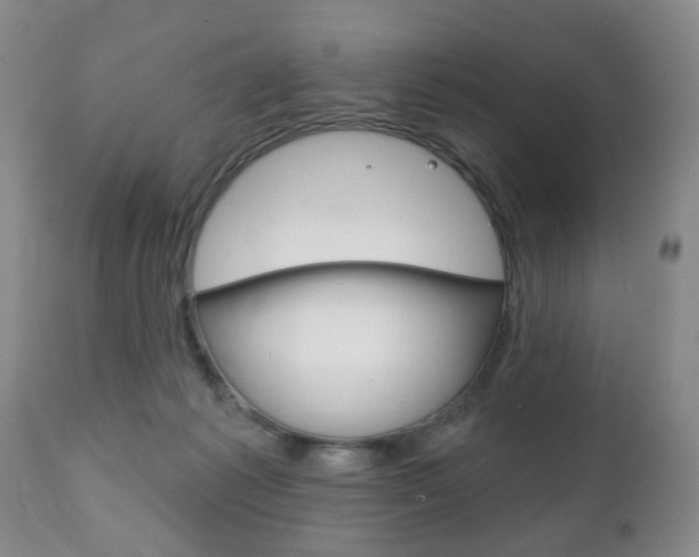 X0000111220221200907021008