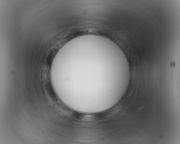 X0000111220222200907021008