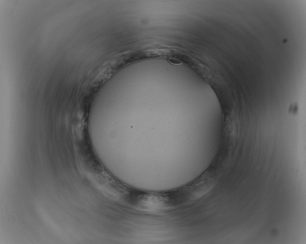 X0000111220223200907021008