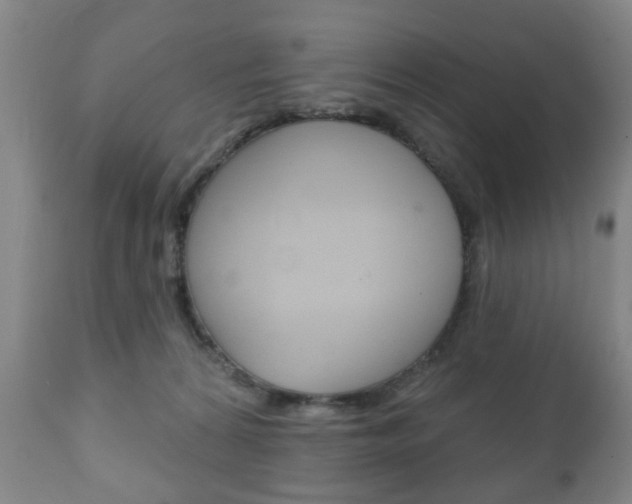 X0000111220224200907021008