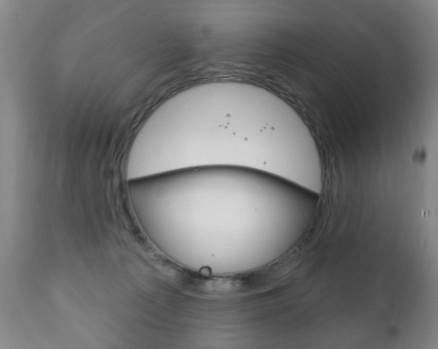 X0000111220225200907021008