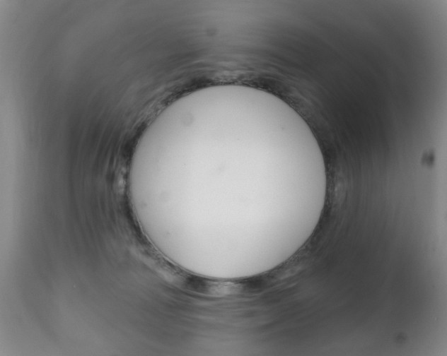 X0000111220226200907021008