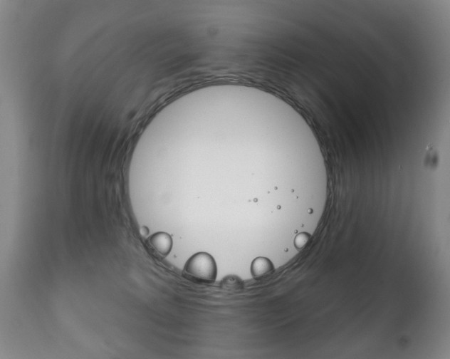X0000111220229200907021008