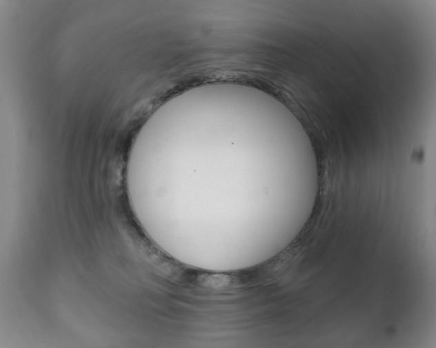 X0000111220230200907021008