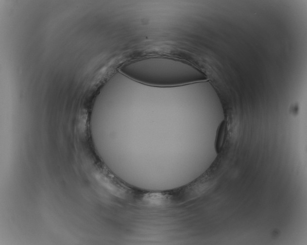 X0000111220231200907021008