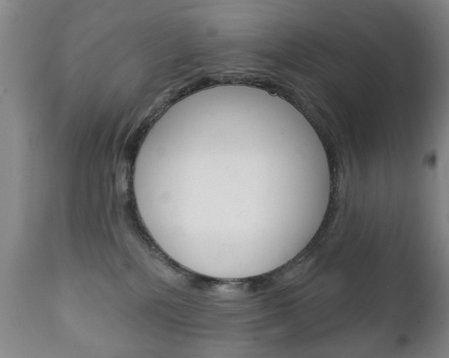 X0000111220232200907021008