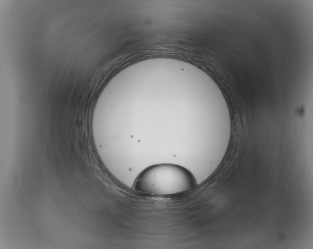 X0000111220233200907021008