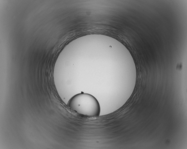 X0000111220237200907021008