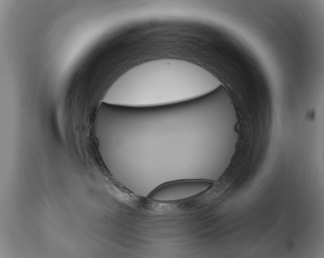 X0000111220239200907021007