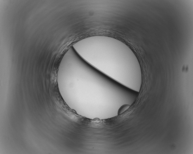 X0000111220240200907021007