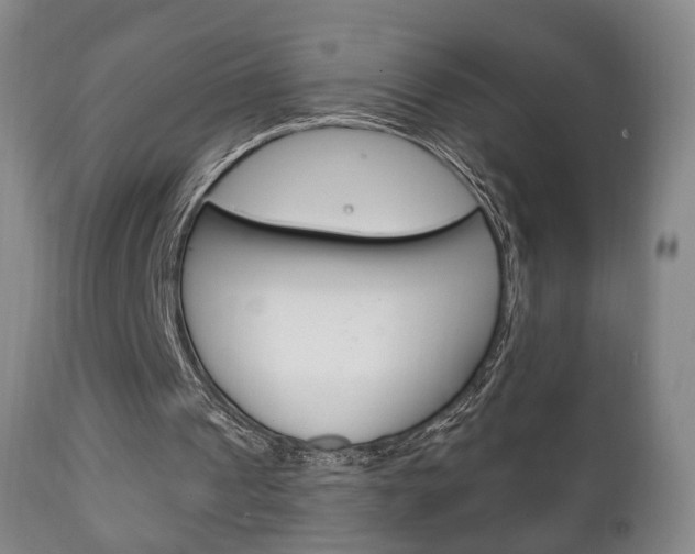 X0000111220241200907021007