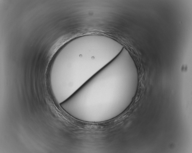 X0000111220242200907021007