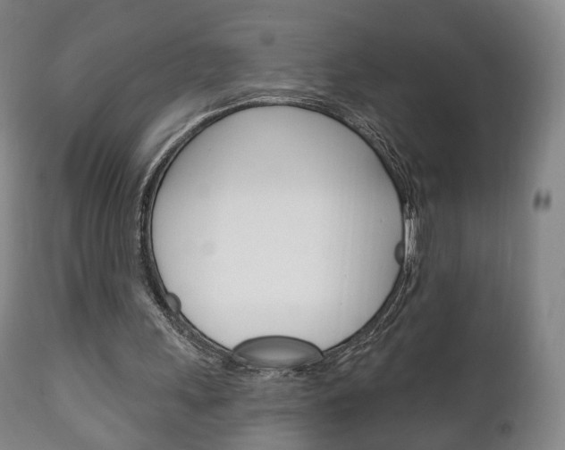 X0000111220243200907021007