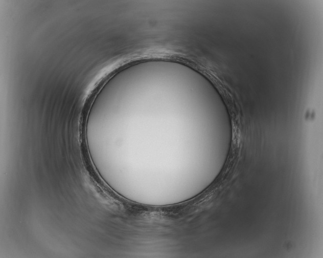 X0000111220244200907021007