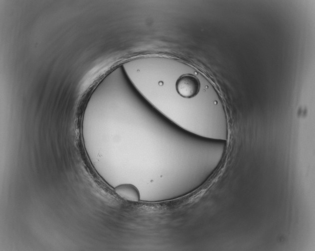 X0000111220245200907021007