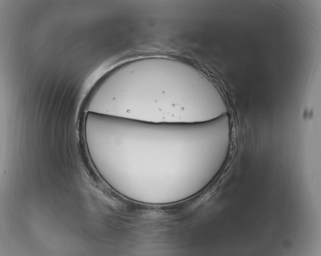 X0000111220246200907021007