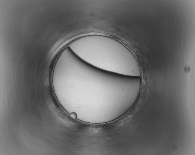 X0000111220247200907021007