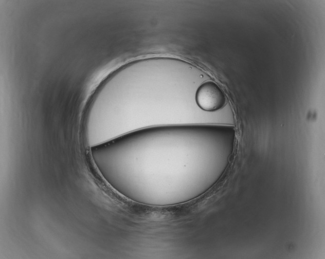 X0000111220248200907021007