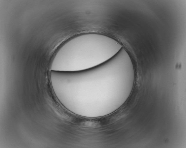 X0000111220251200907021007