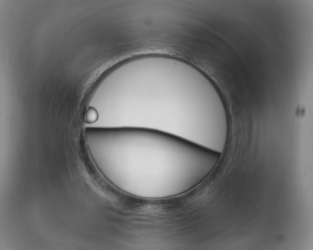 X0000111220252200907021007