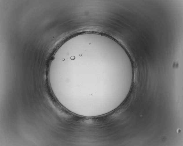 X0000111220253200907021007