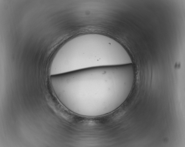 X0000111220254200907021007