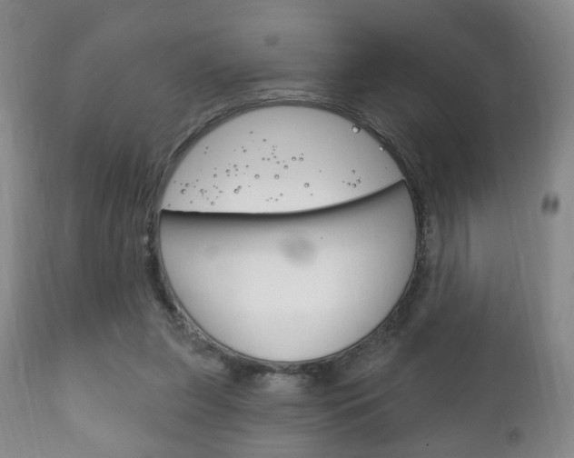 X0000111220255200907021007
