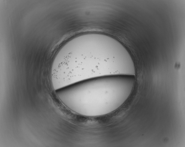 X0000111220256200907021007