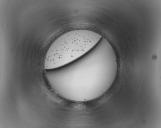 X0000111220258200907021007