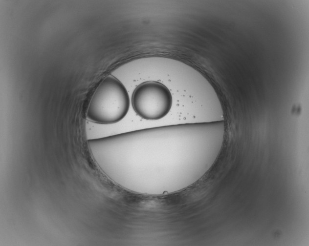 X0000111220259200907021007
