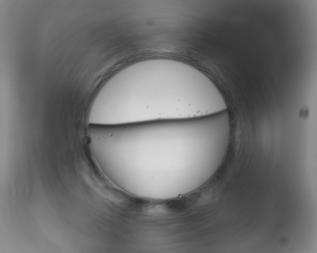 X0000111220262200907021007