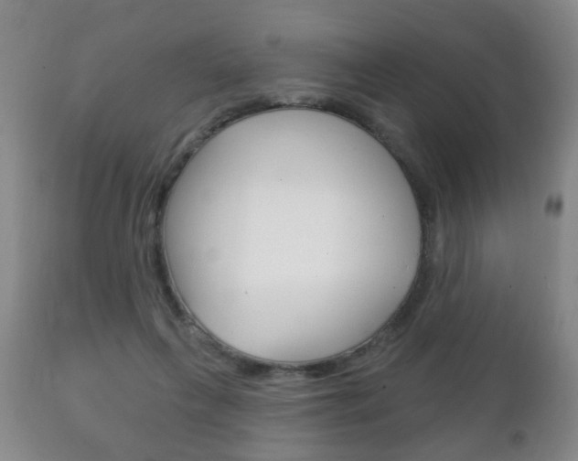 X0000111220263200907021007