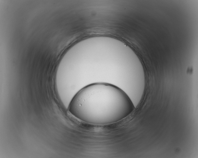 X0000111220264200907021007