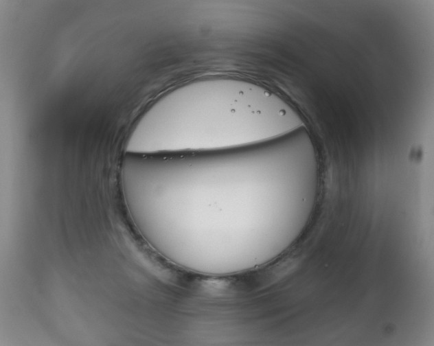 X0000111220265200907021007
